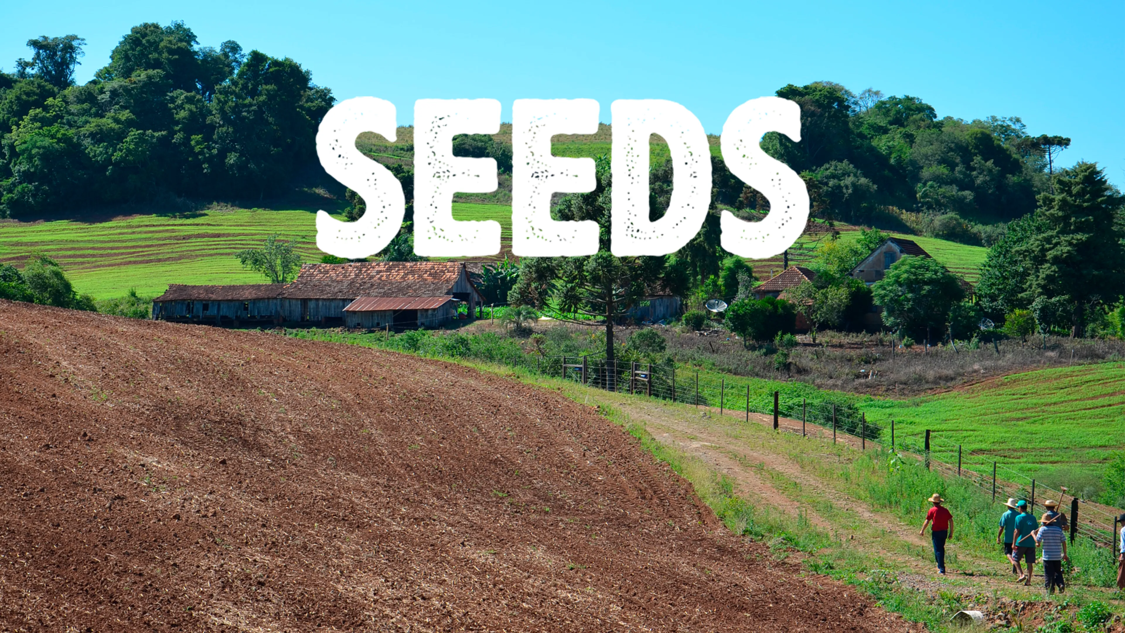 Seeds poster